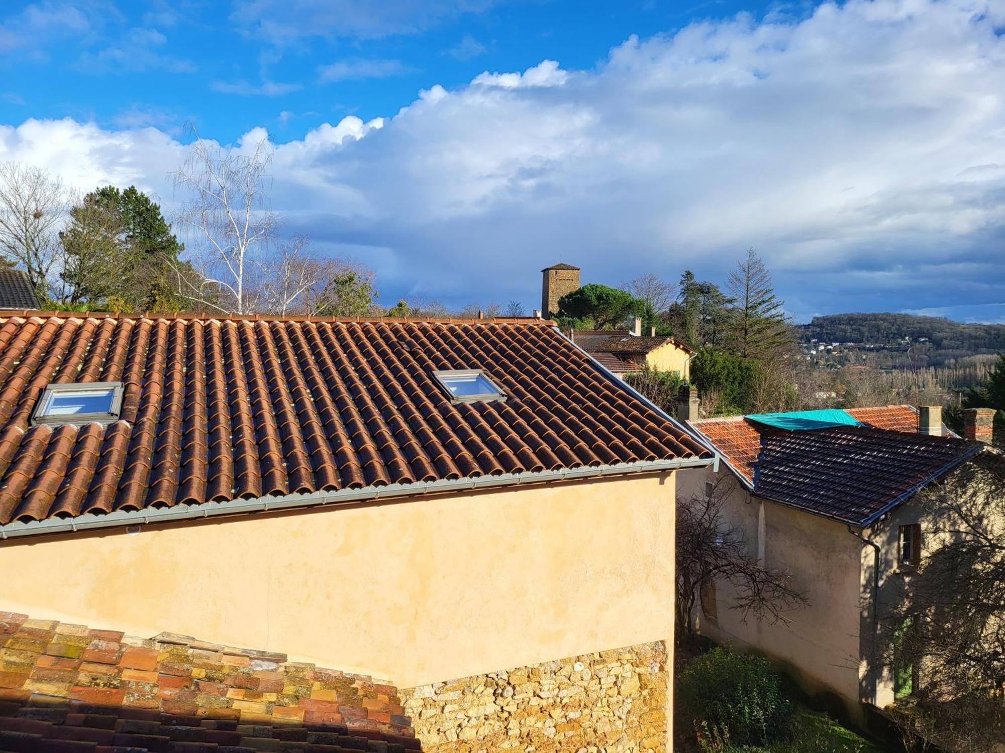 Gite Le Grenier Des Maraichers Albigny-sur-Saone Exterior foto