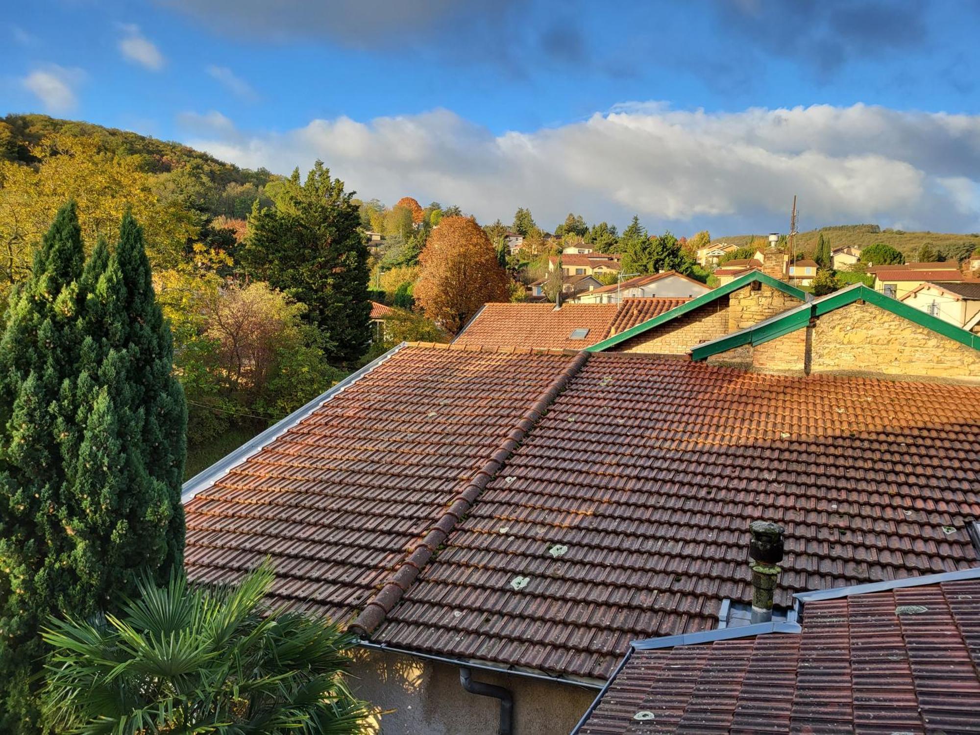 Gite Le Grenier Des Maraichers Albigny-sur-Saone Exterior foto